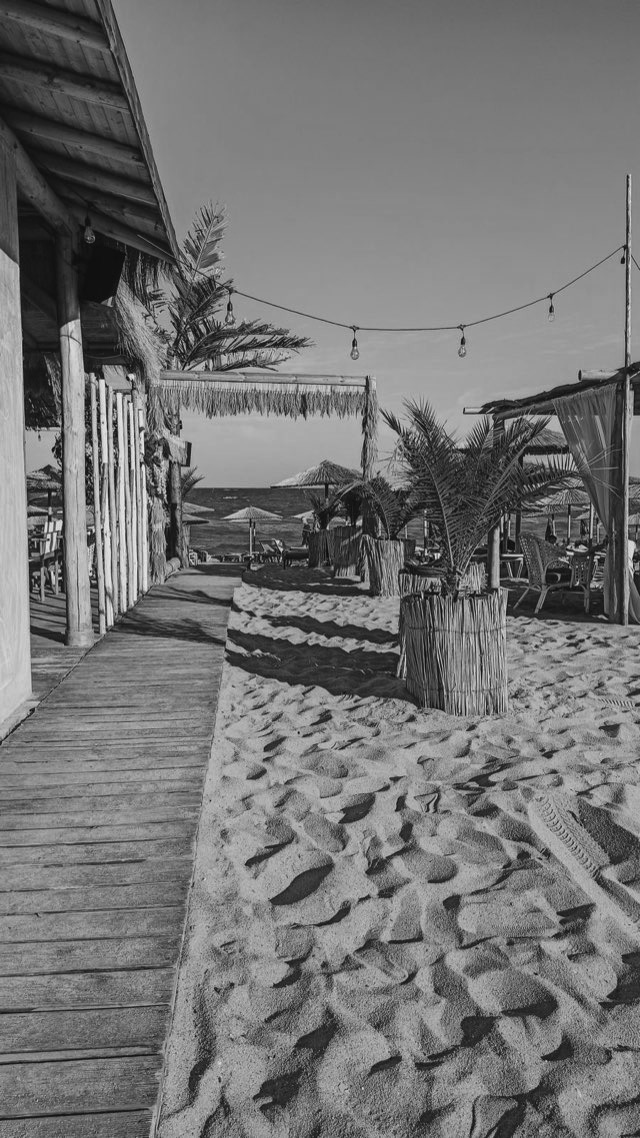 Tommy Bahama